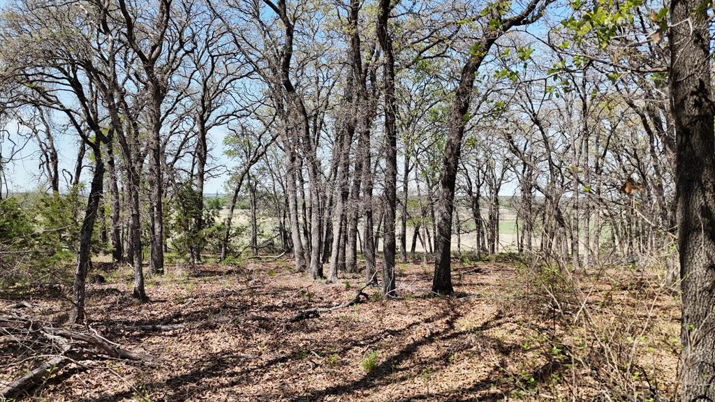 280 Private Road 2162 Property Photo 6