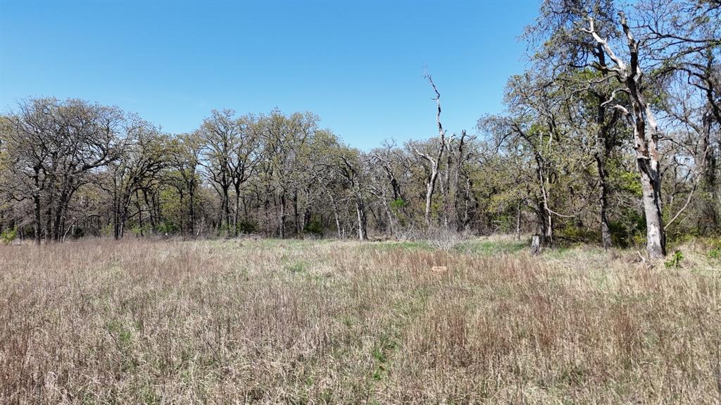 280 Private Road 2162 Property Photo 7