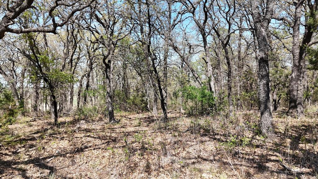 280 Private Road 2162 Property Photo 8