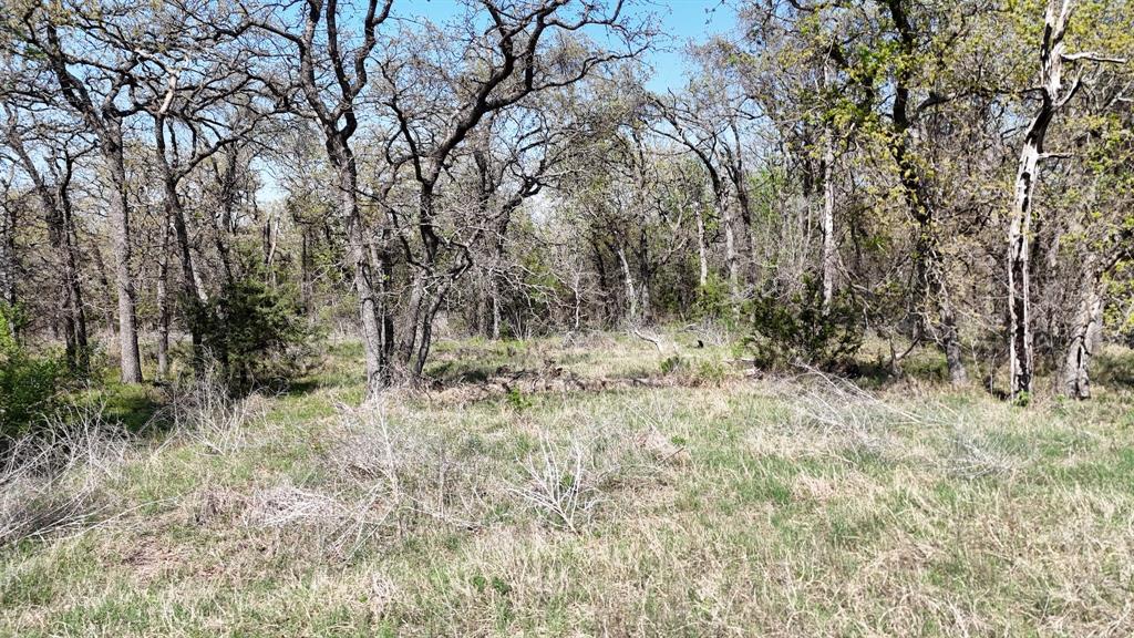 280 Private Road 2162 Property Photo 9