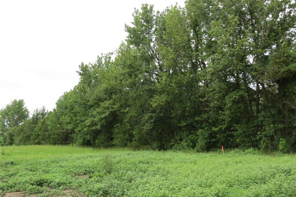 355 Cr 3204 Property Photo 9