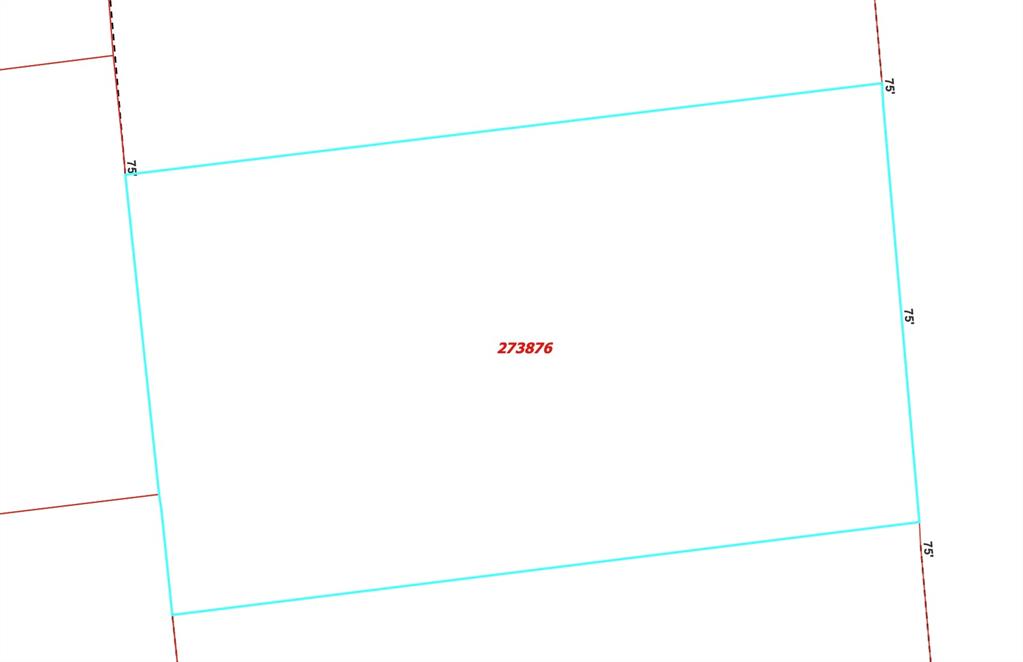 1081 Pearl Harbor Street Property Photo 4