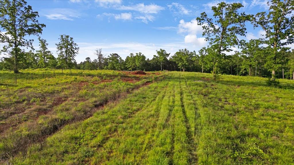 Tbd Lionheart Street Property Photo 1