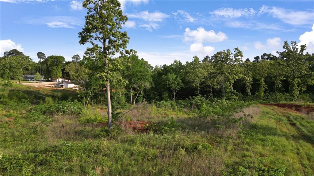 Tbd Lionheart Street Property Photo 14