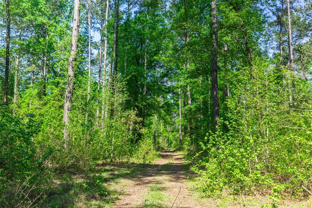 01 County Road 3322 Property Photo 16