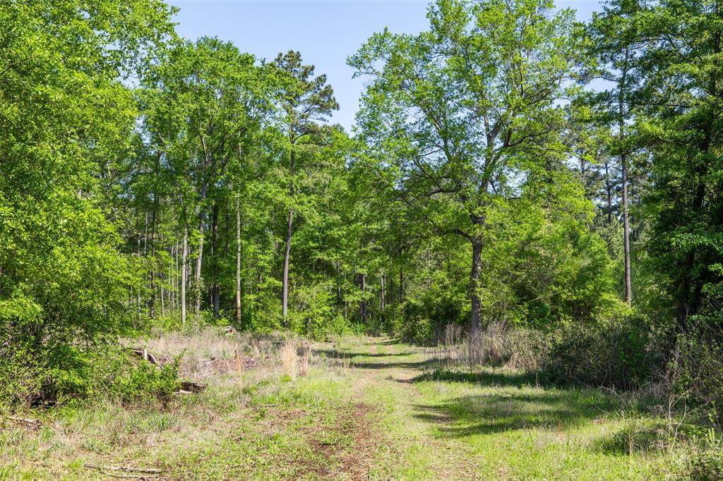 01 County Road 3322 Property Photo 17