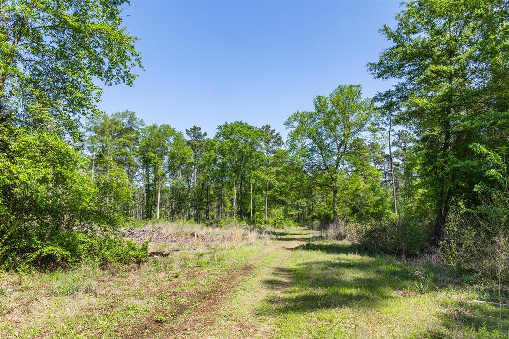 01 County Road 3322 Property Photo 18