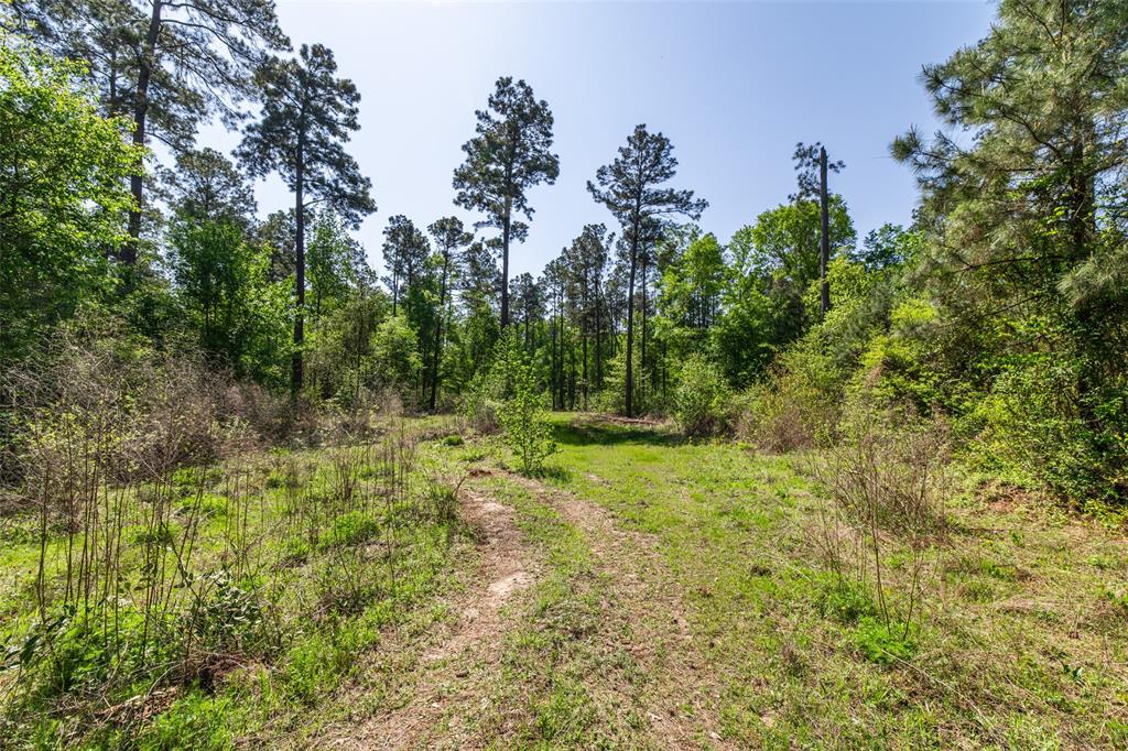 01 County Road 3322 Property Photo 21