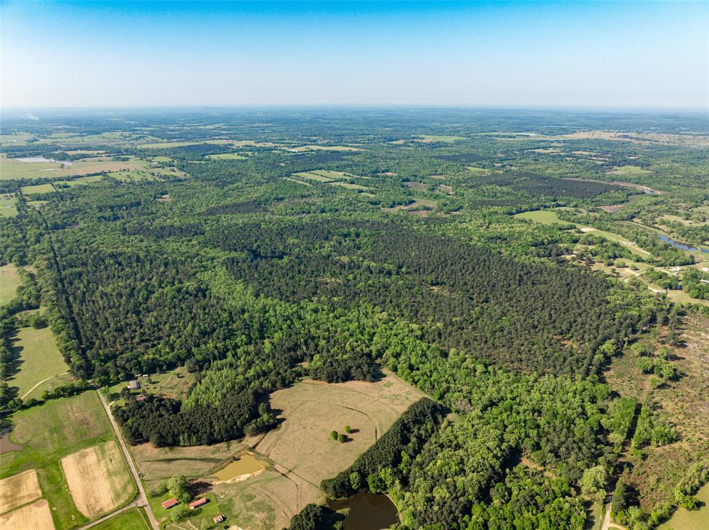 01 County Road 3322 Property Photo 25