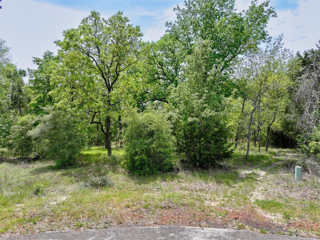 8950 Timber Ridge Property Photo 1
