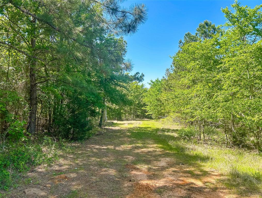 Tbd Cr 4814 Property Photo 2