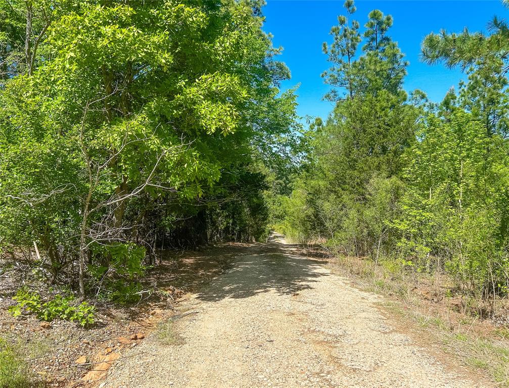 Tbd Cr 4814 Property Photo 6