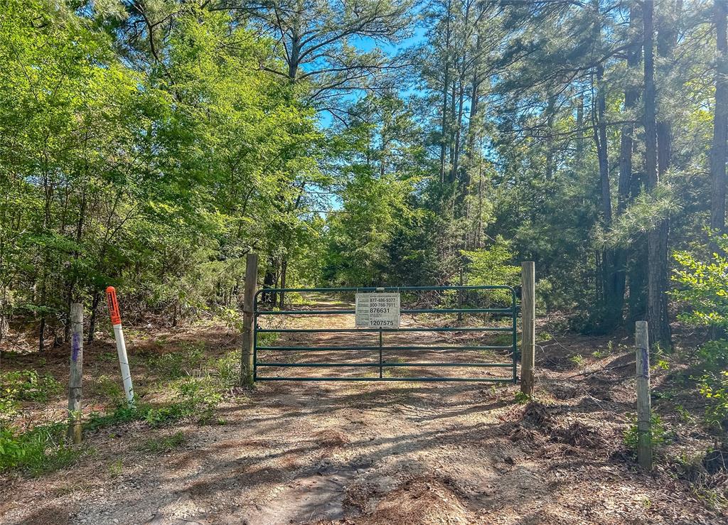 Tbd Cr 4814 Property Photo 7