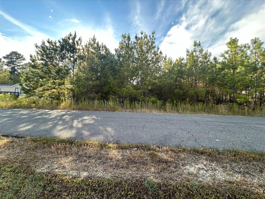 0 Chestnut Bay Oaks Road Property Photo