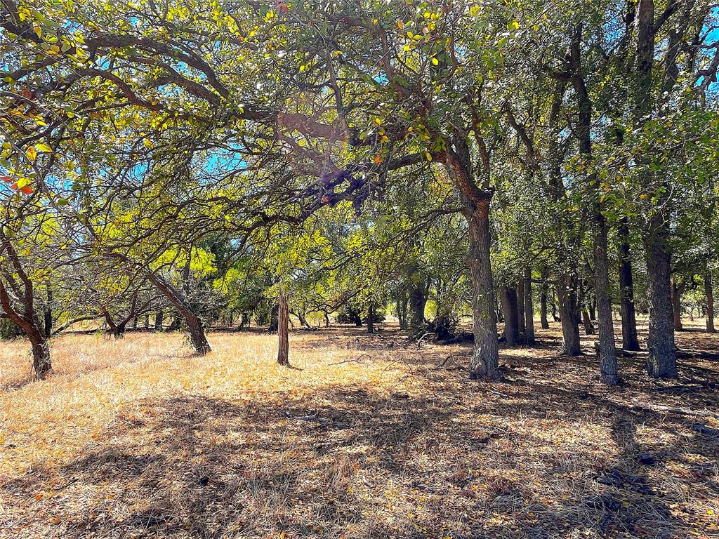 10680 281 Highway Property Photo 1