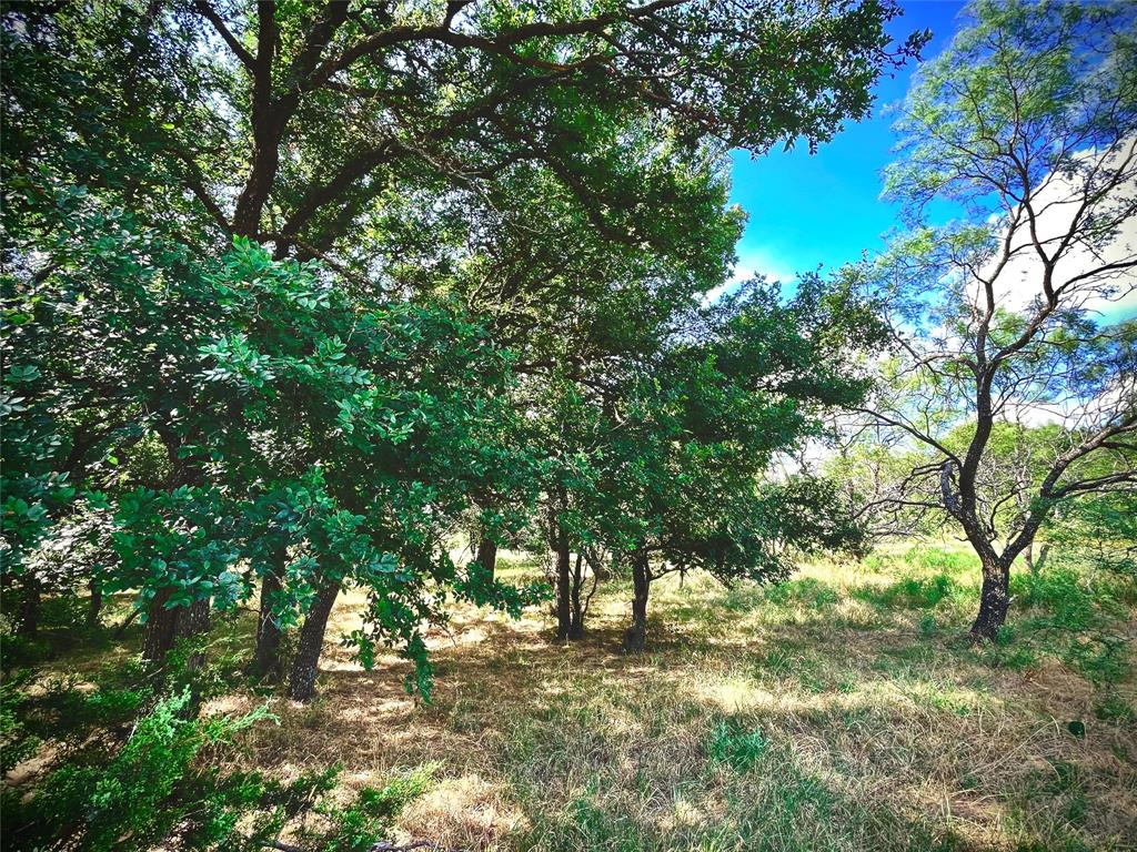 10840 281 Highway Property Photo