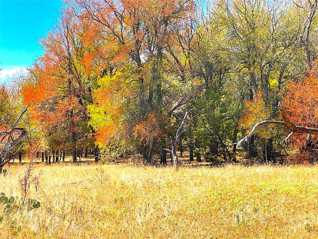 11020 281 Highway Property Photo