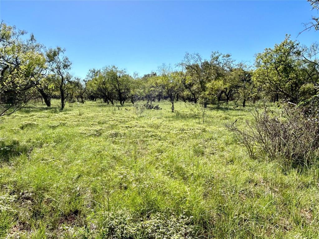 T.b.d. Cr 120 Property Photo