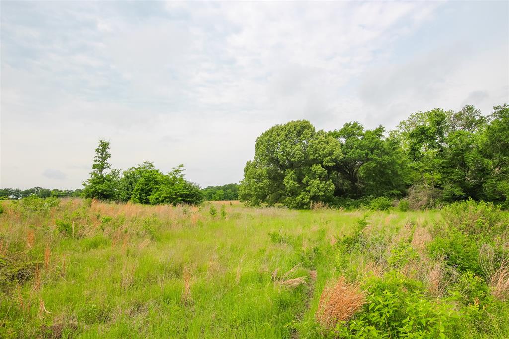 Tbd Vz Cr 2150 Property Photo 3