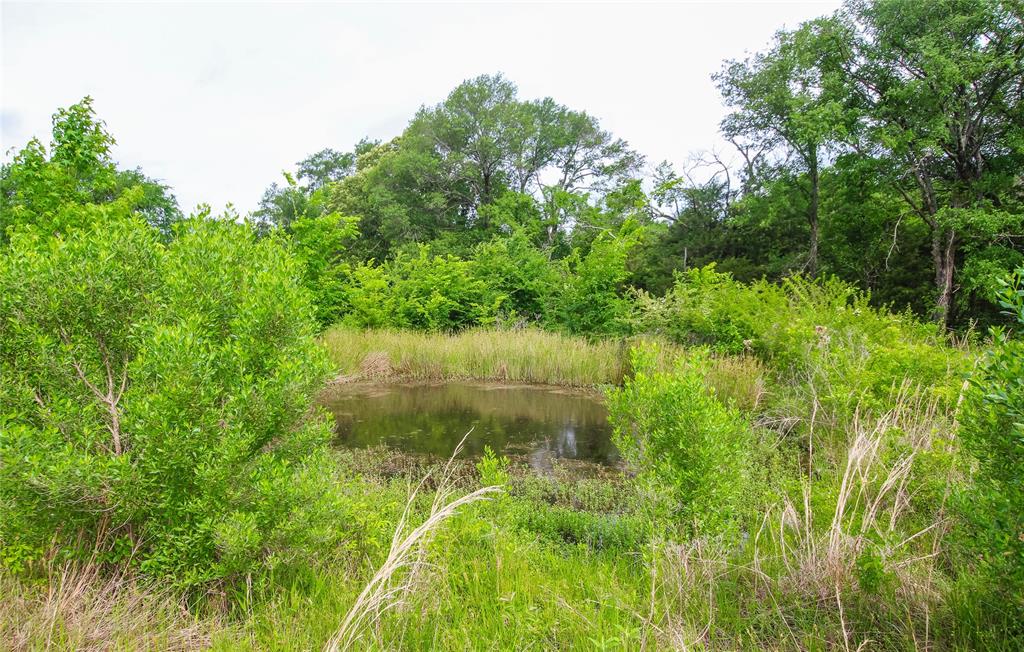 Tbd Vz Cr 2150 Property Photo 4