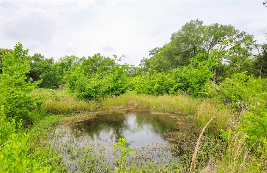 Tbd Vz Cr 2150 Property Photo 5