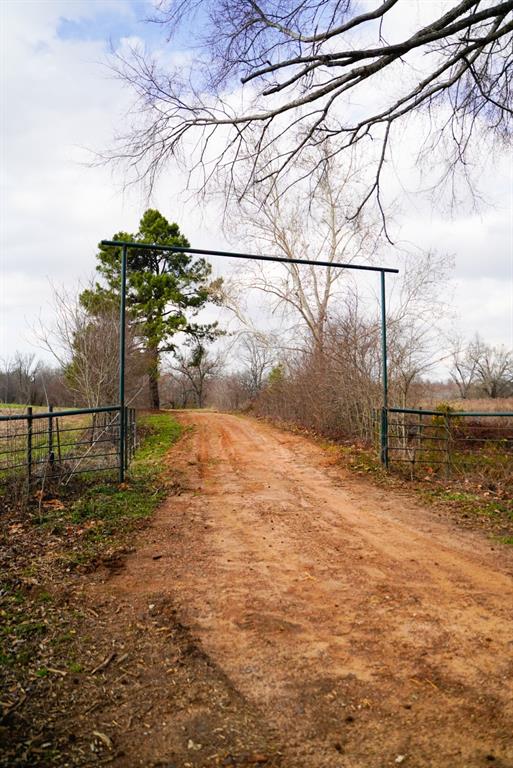 9268 County Road 4346 Property Photo