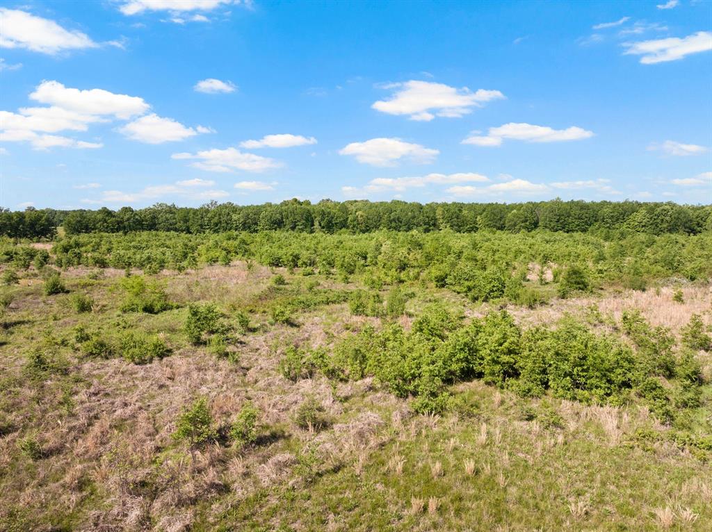 2363 Nw County Road 1050 Property Photo 23