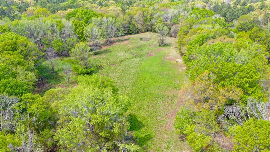 00 Fm 315 Property Photo 4
