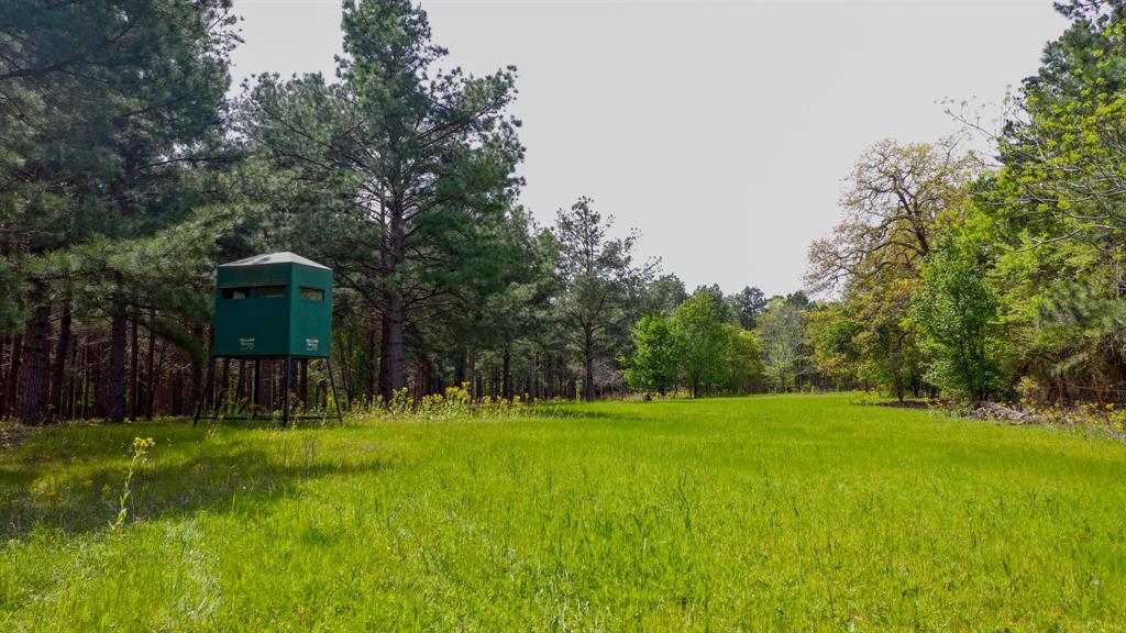 00 Fm 315 Property Photo 8