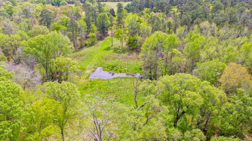 00 Fm 315 Property Photo 13