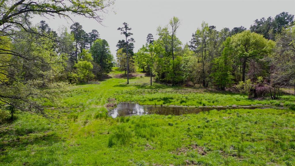 00 Fm 315 Property Photo 14