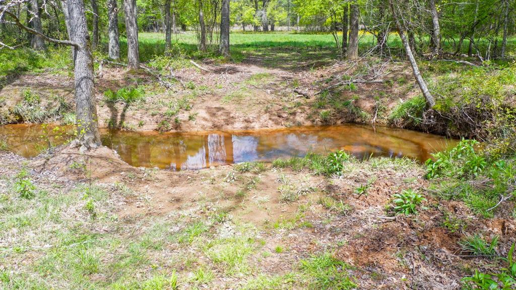 00 Fm 315 Property Photo 15