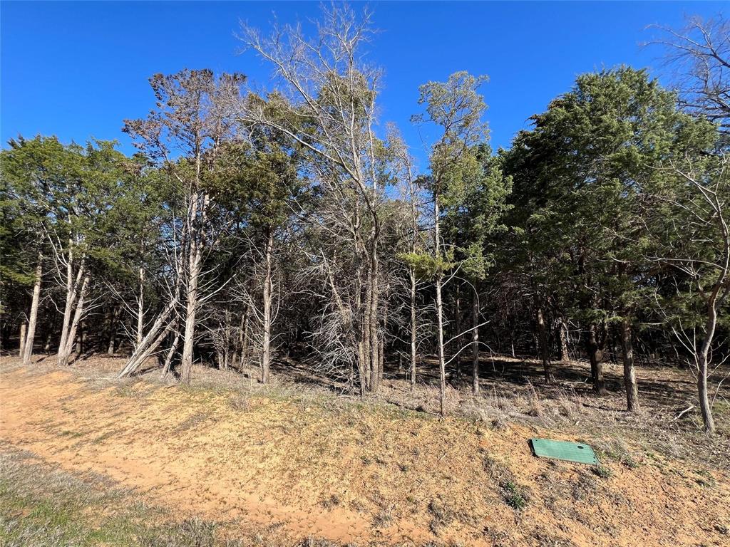 Lot 33 Palisades Property Photo