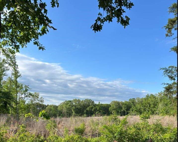 00 Grand Cane Fire Tower Road Property Photo 1