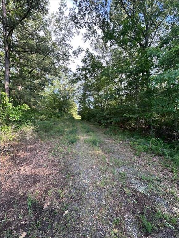 00 Grand Cane Fire Tower Road Property Photo 2