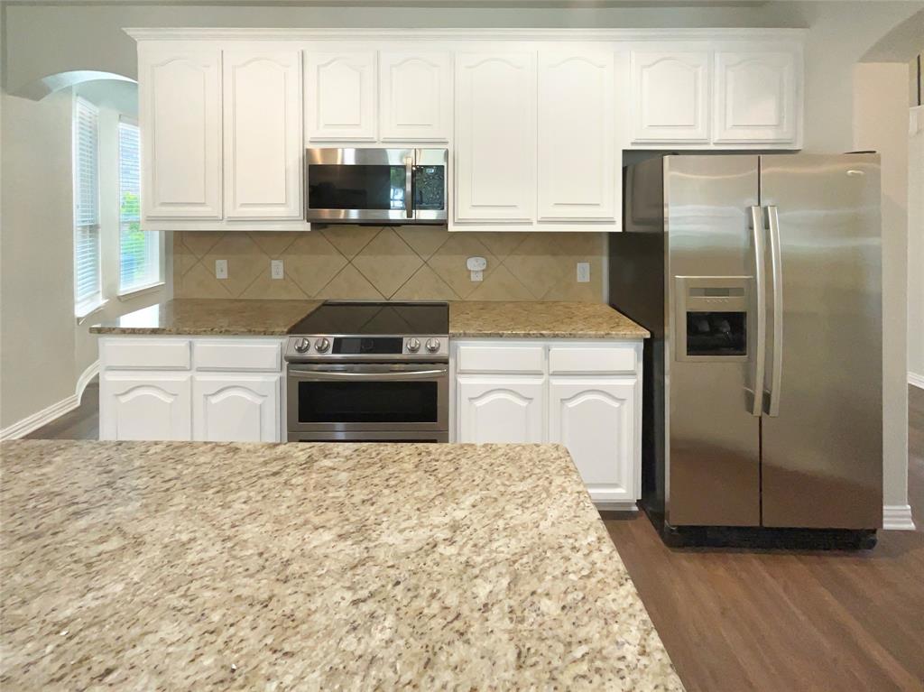 1005 Lake Hollow Drive Property Photo 21