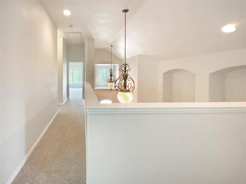 1005 Lake Hollow Drive Property Photo 25