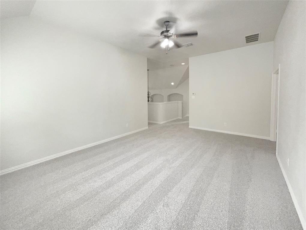 1005 Lake Hollow Drive Property Photo 30