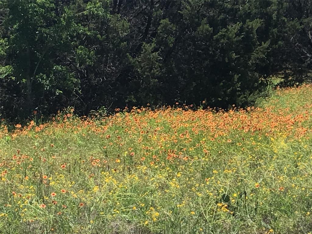 1096 Lakeside Trail Property Photo 12