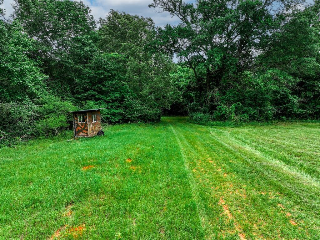 3732 Us Hwy 84 Property Photo 2