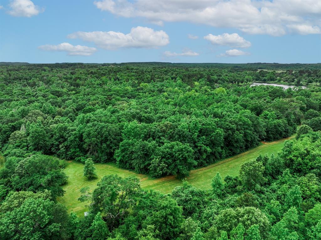 3732 Us Hwy 84 Property Photo 5