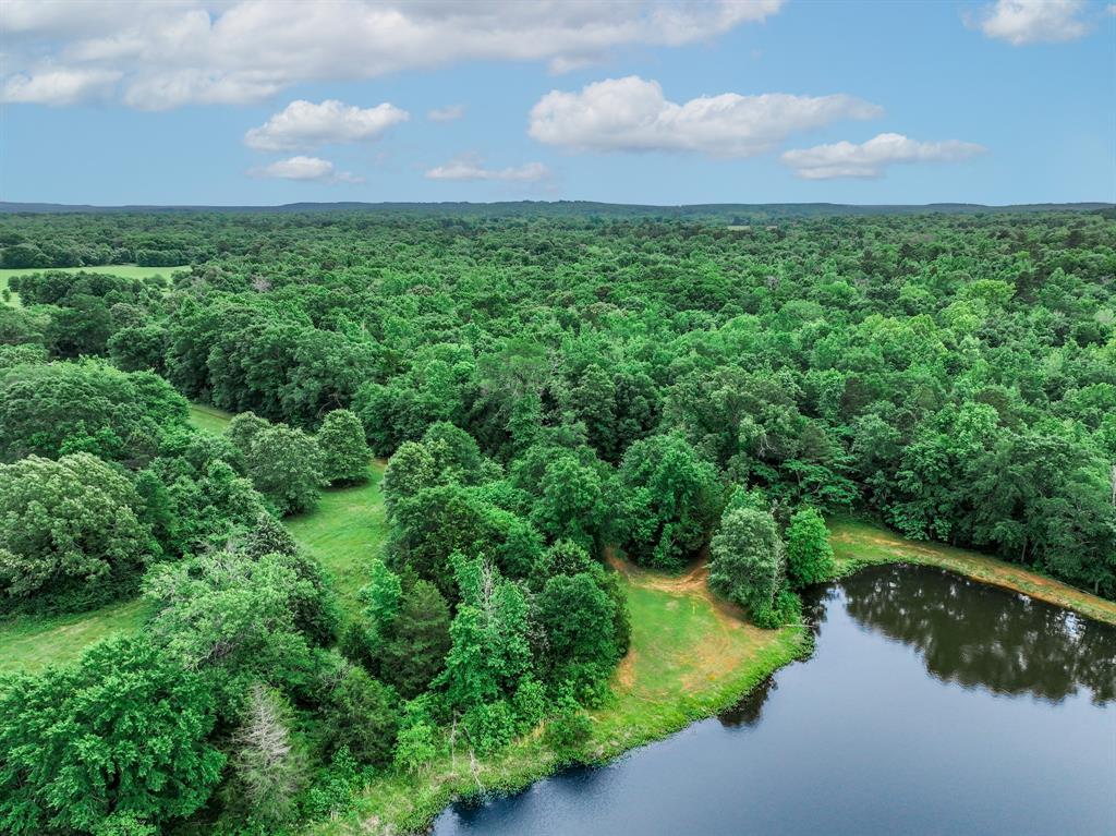 3732 Us Hwy 84 Property Photo 6