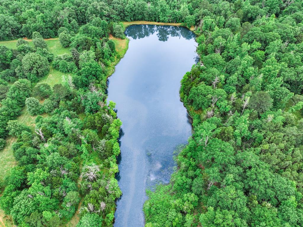 3732 Us Hwy 84 Property Photo 7