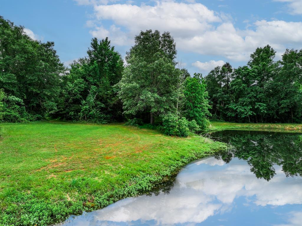 3732 Us Hwy 84 Property Photo 8