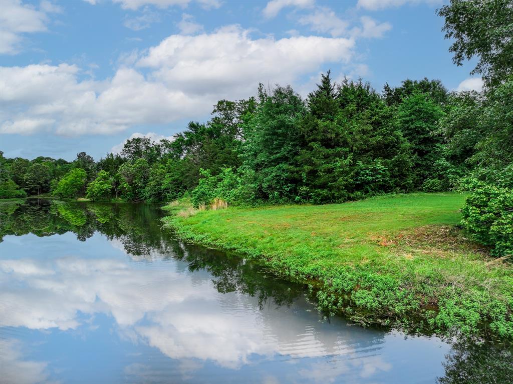 3732 Us Hwy 84 Property Photo 9