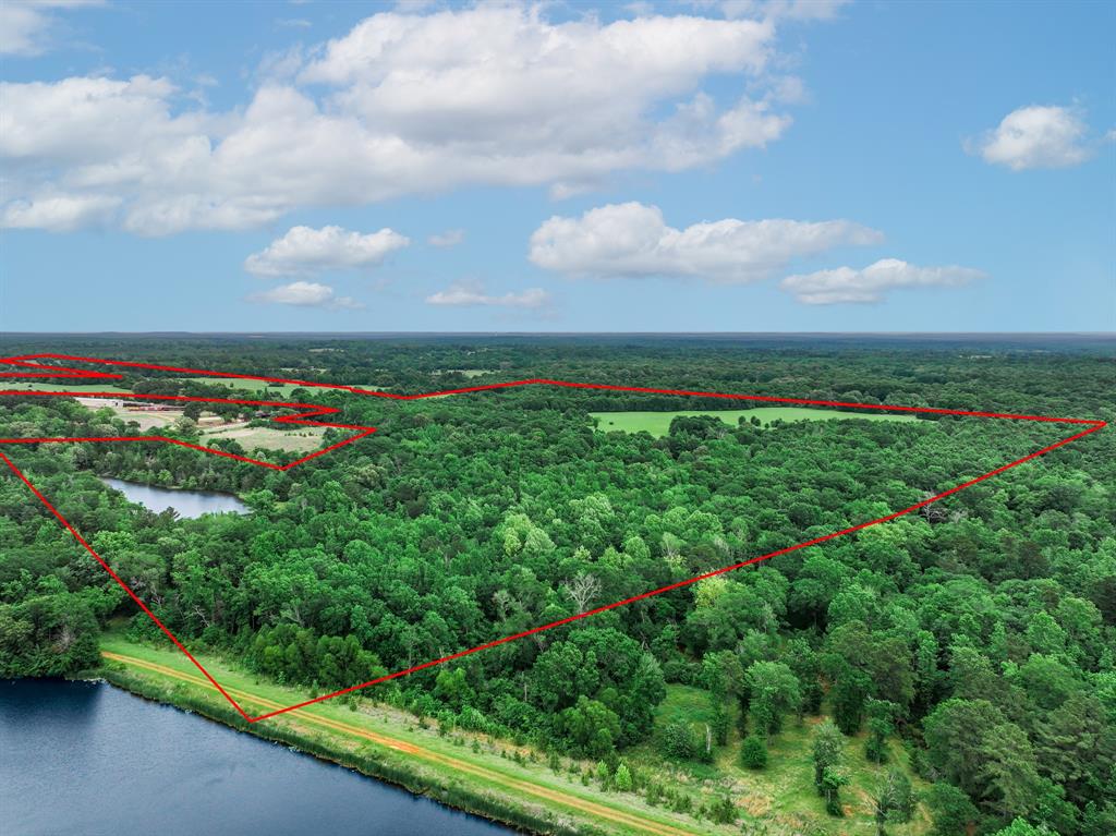 3732 Us Hwy 84 Property Photo 10