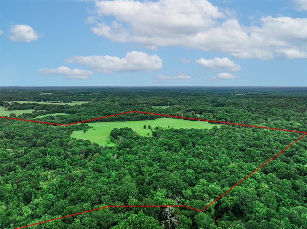 3732 Us Hwy 84 Property Photo 11