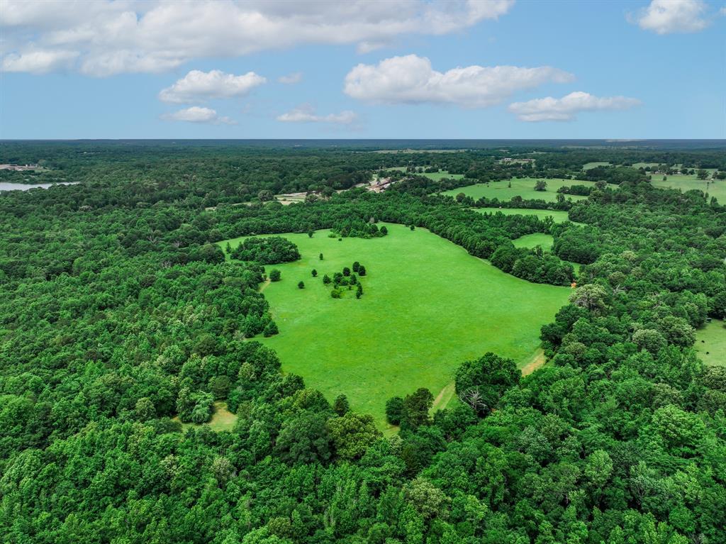 3732 Us Hwy 84 Property Photo 12