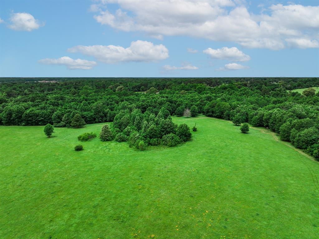 3732 Us Hwy 84 Property Photo 13