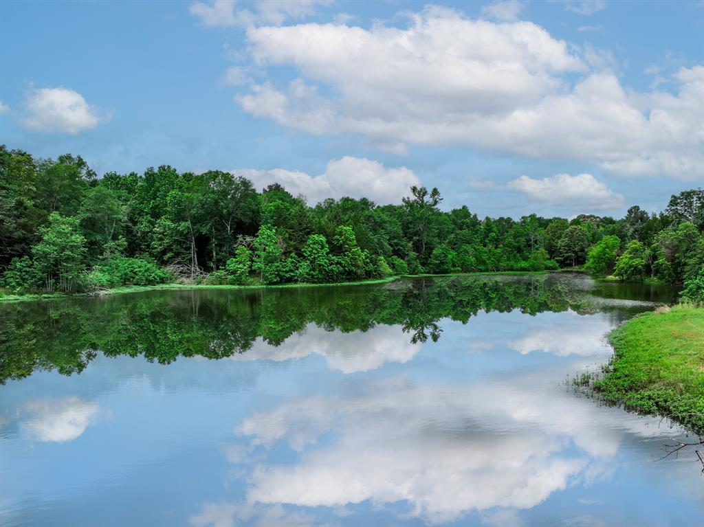 3732 Us Hwy 84 Property Photo 14